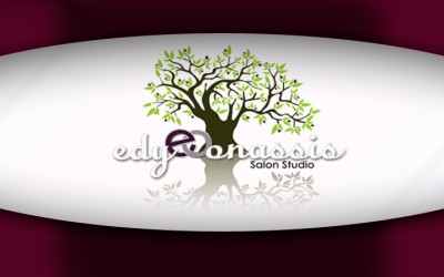 Edy Onassis Salon Studio’s Ebony Cleveland Talks Color